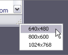 Precision Resize Tool