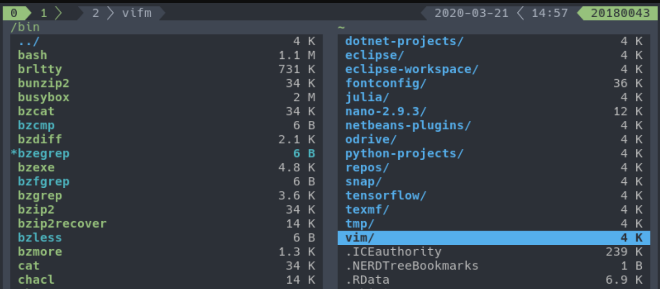 vifm screenshot