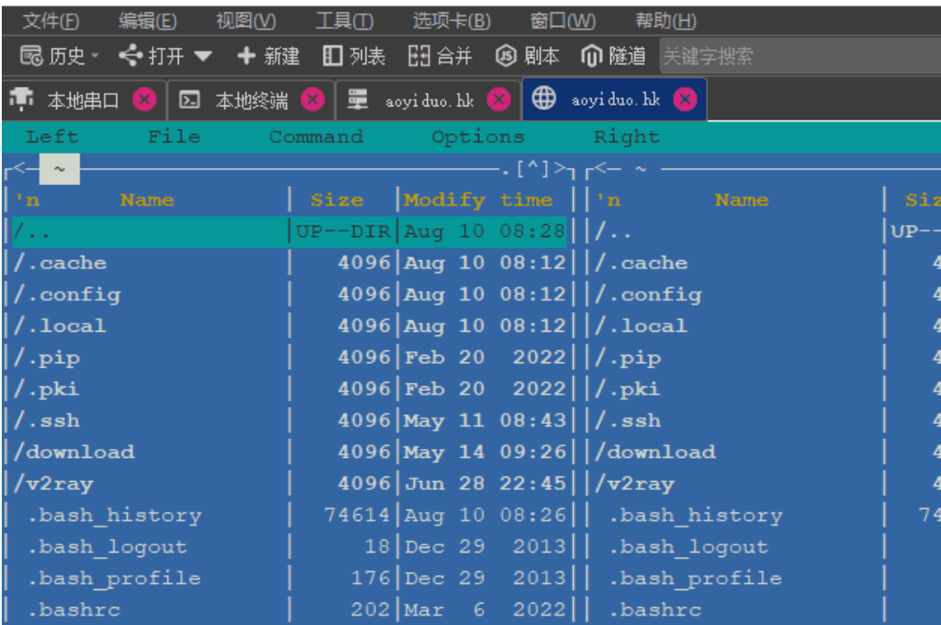 MultiProtocol Terminal screenshot
