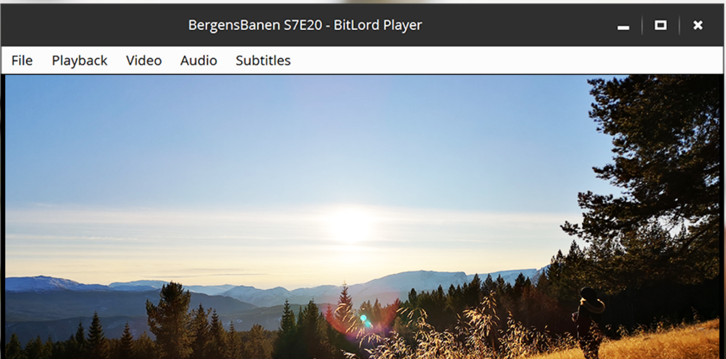 Bitlord screenshot