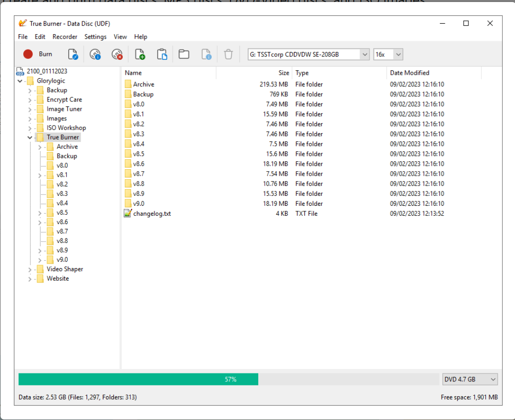 True Burner screenshot